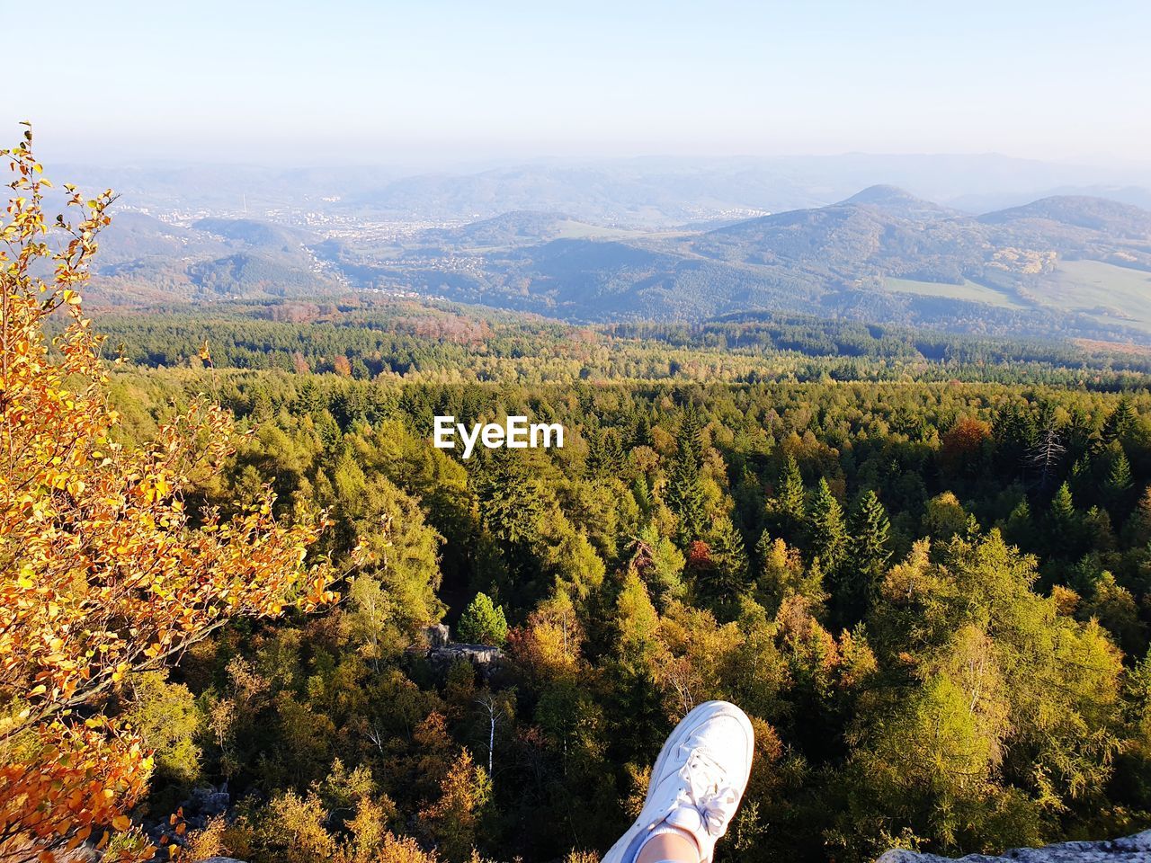 HIGH ANGLE VIEW OF PLANTS ON LANDSCAPE