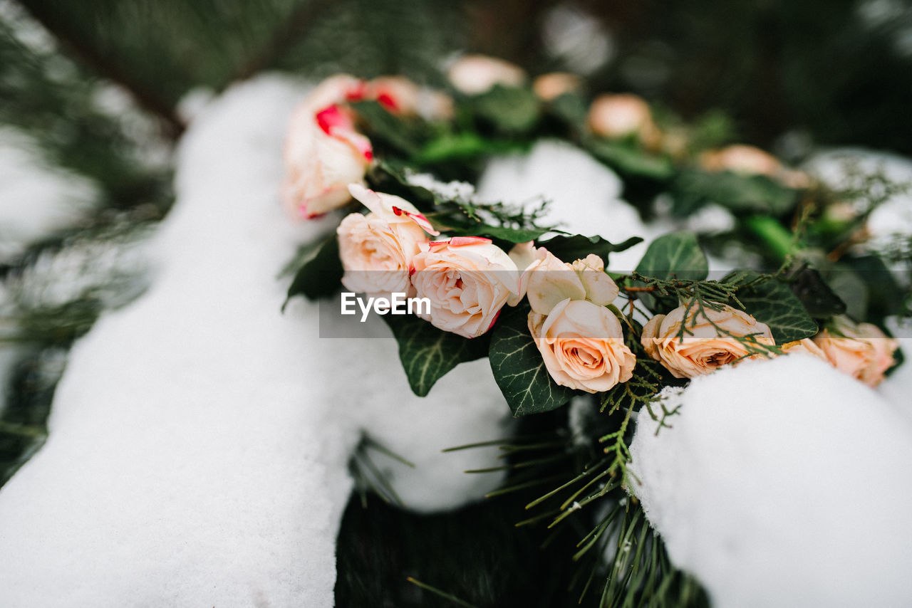 Close-up of rose flower wreath