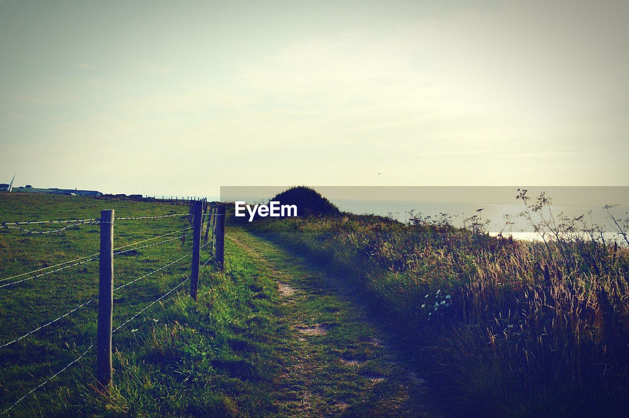 Scenic view of grassy field against sky