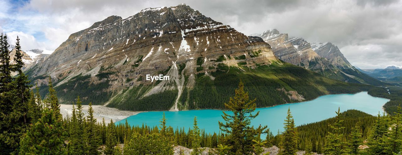 Peyto lake