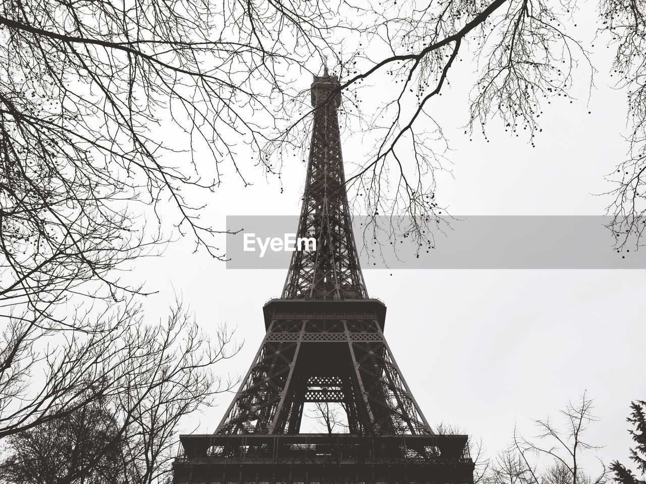 Low angle view of eiffel tower and trees against clear sky