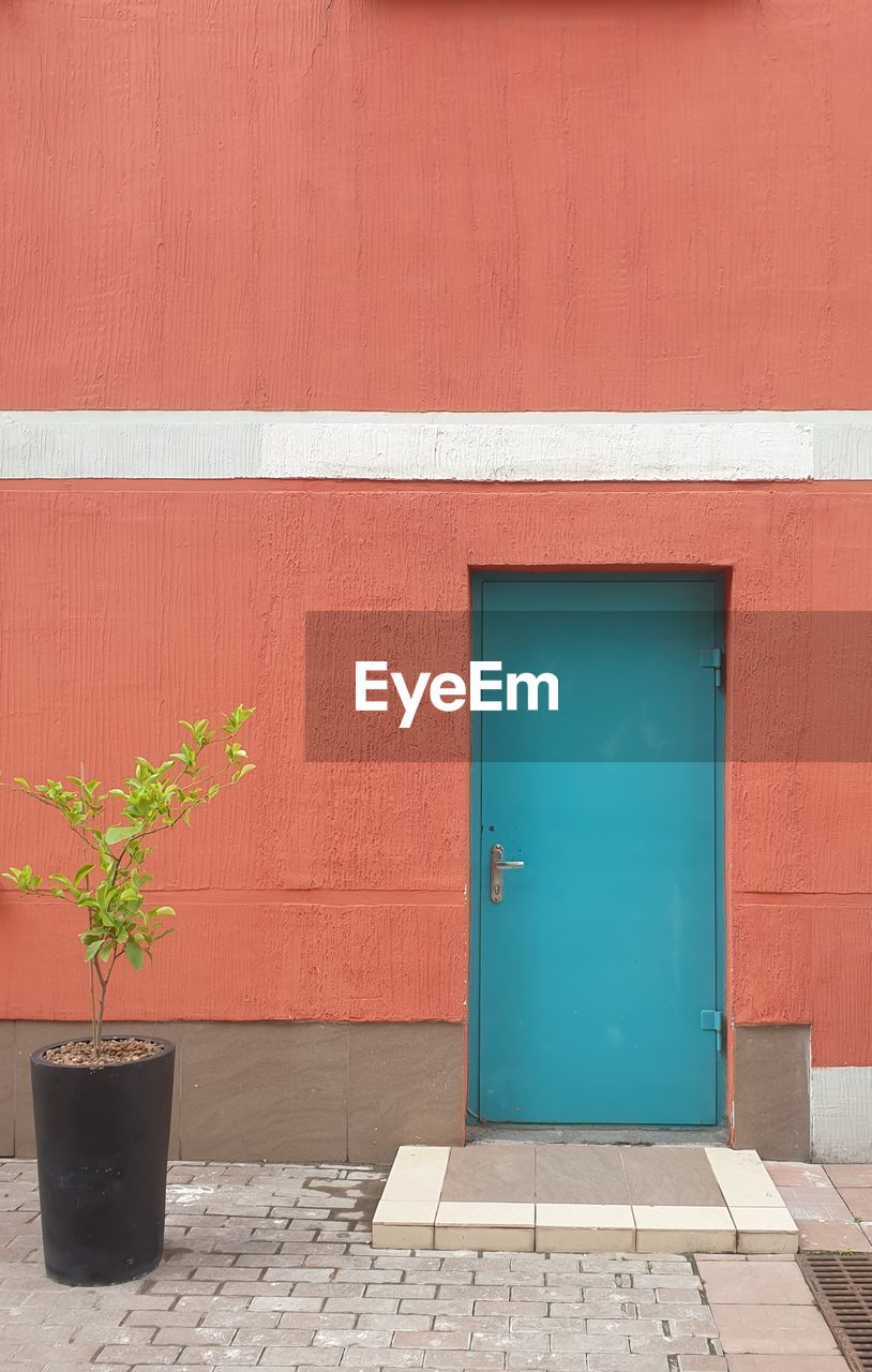 POTTED PLANTS ON WALL OF BUILDING