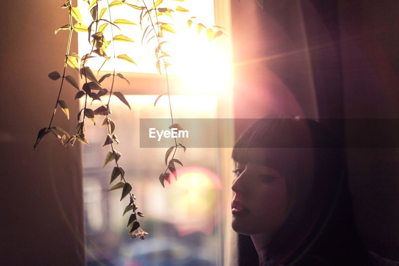 Young woman with twig by window