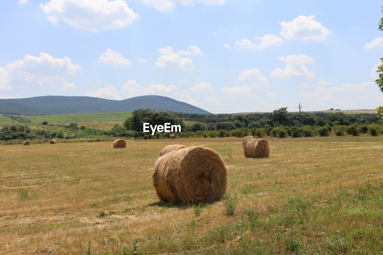 bale, hay, plant, landscape, field, environment, agriculture, sky, land, rural scene, nature, rolled up, farm, beauty in nature, scenics - nature, cloud, tranquility, harvesting, tranquil scene, grass, pasture, haystack, tree, rural area, straw, no people, grassland, circle, crop, meadow, day, plain, idyllic, prairie, geometric shape, shape, non-urban scene, outdoors, growth, cereal plant, sunlight, soil, summer, hill, brown
