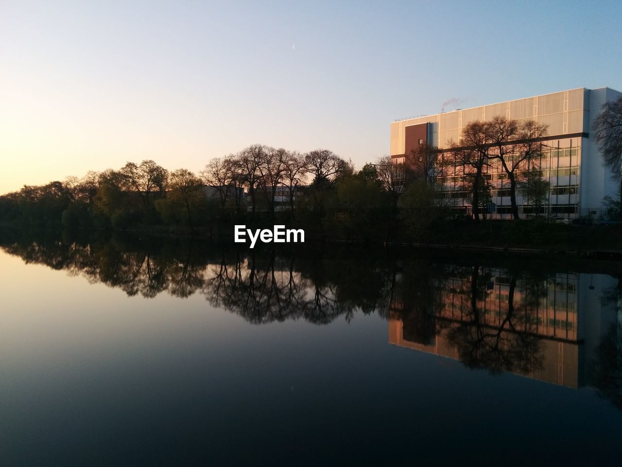 Reflection of trees in water