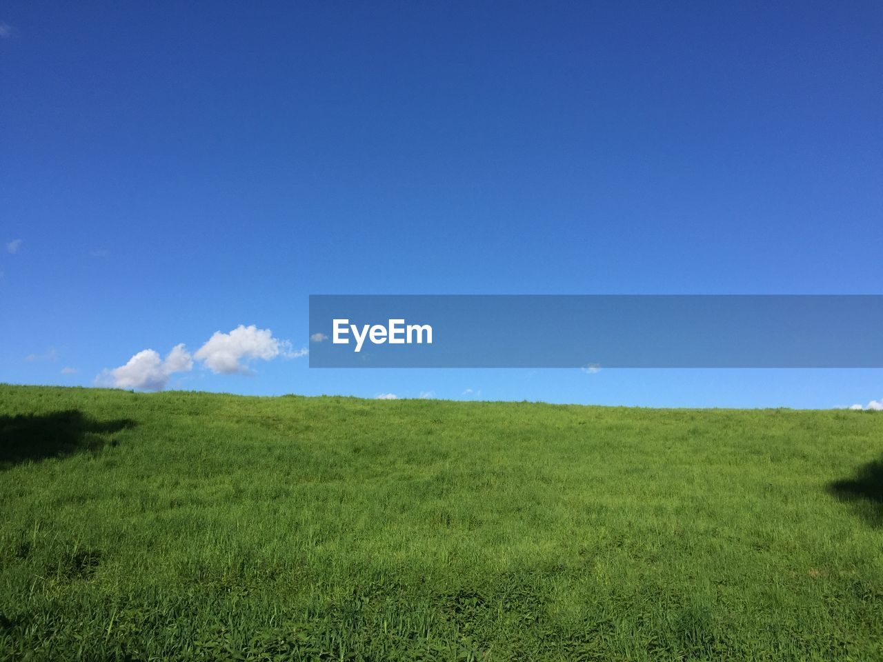 Scenic view of field against clear blue sky