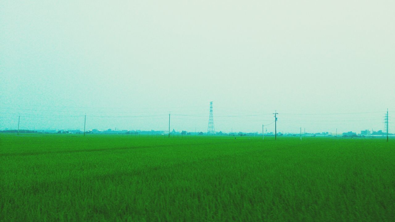 View of green field