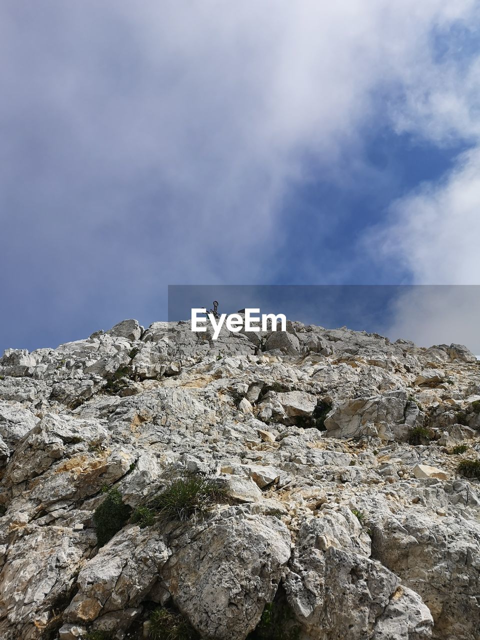 LOW ANGLE VIEW OF BIRDS ON ROCK