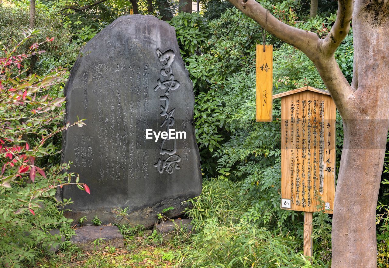 plant, tree, text, nature, grave, no people, day, communication, outdoors, growth, western script, religion, headstone, tombstone, cemetery, craft, grass, land, green, spirituality, tree trunk