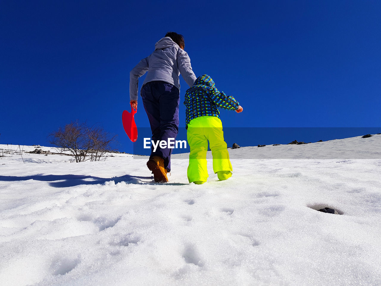 Full length rear view of women in winter