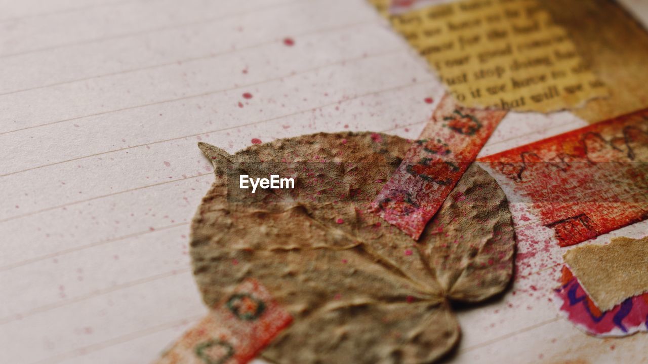 High angle view of dried leaf on table