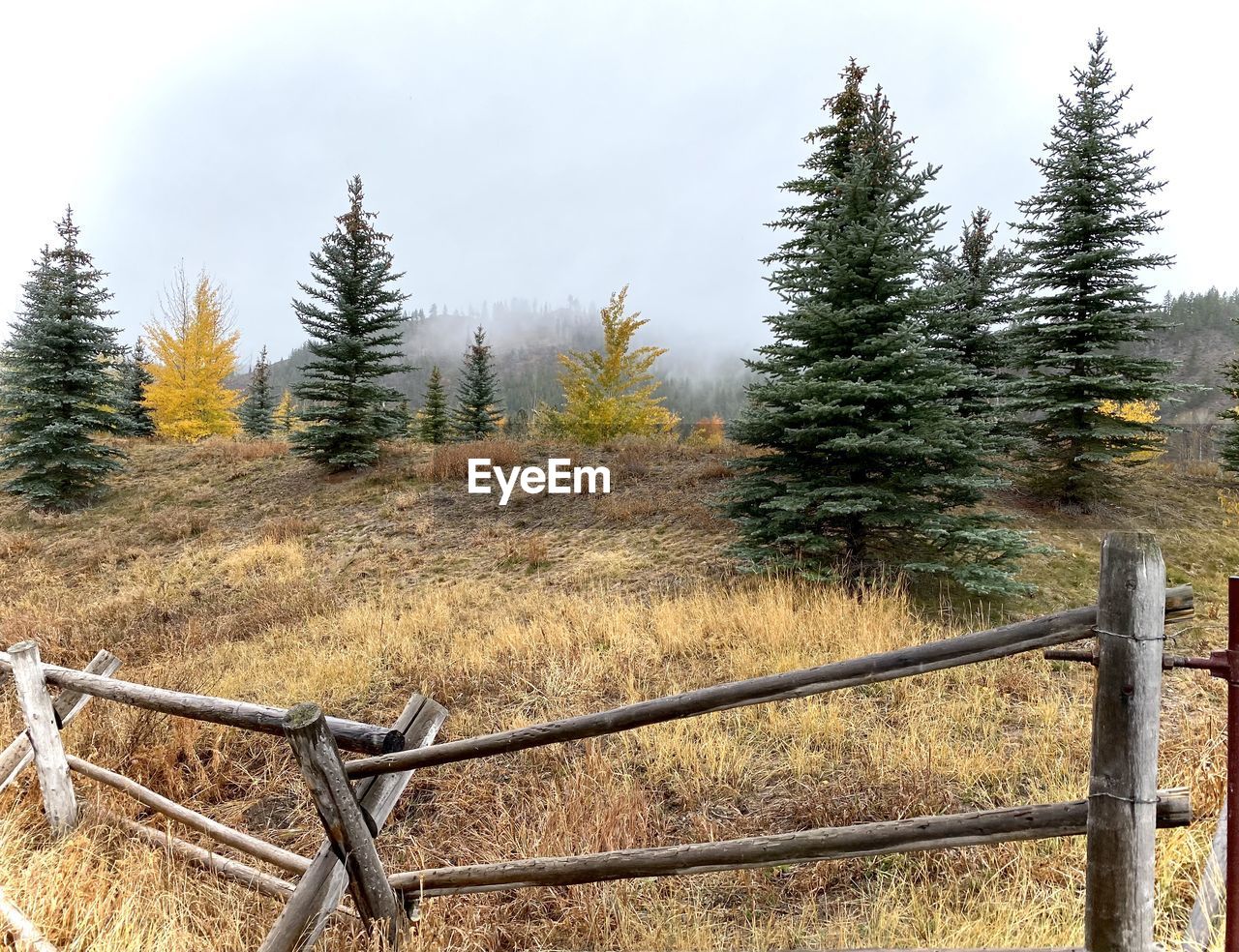 Fall in ketchum, idaho