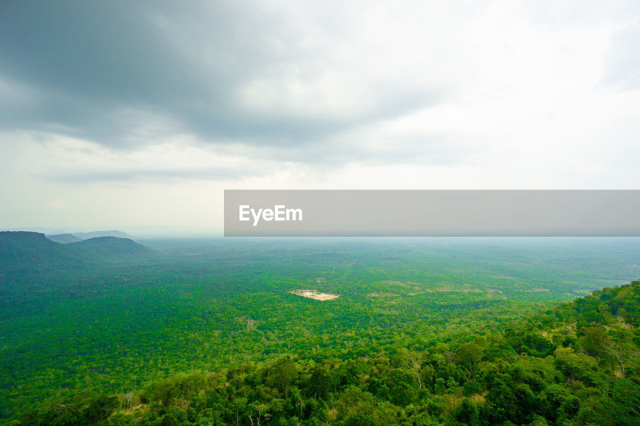 SCENIC VIEW OF TREES ON FIELD AGAINST SKY