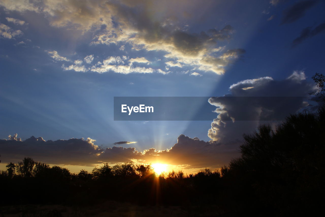 SILHOUETTE TREES ON LANDSCAPE AGAINST SKY DURING SUNSET