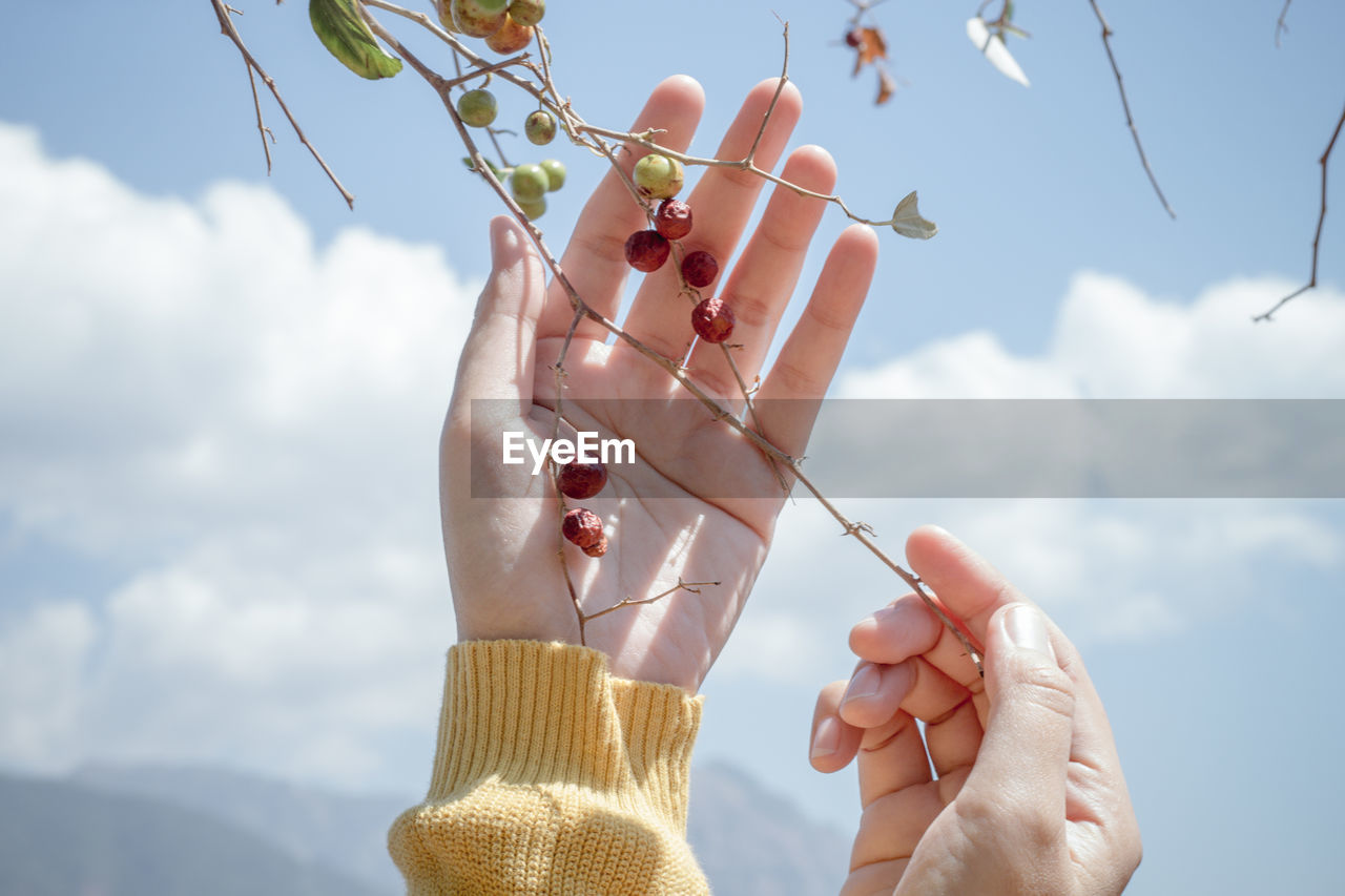 LOW ANGLE VIEW OF PERSON HAND AGAINST SKY