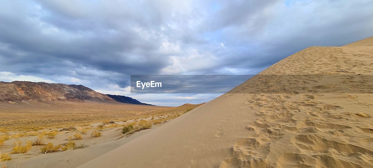 landscape, land, environment, cloud, sky, sand, scenics - nature, sand dune, nature, desert, beauty in nature, travel, dramatic sky, travel destinations, climate, hill, accidents and disasters, animal wildlife, non-urban scene, no people, natural environment, dry, arid climate, tourism, sunlight, outdoors, tranquility, horizon over land, erg, cloudscape, animal, horizon, overcast, extreme terrain, semi-arid, dune, day, animal themes, summer, wadi, remote, water, tranquil scene, panoramic, blue, storm, camel, urban skyline, adventure, plateau, sunny, grassland