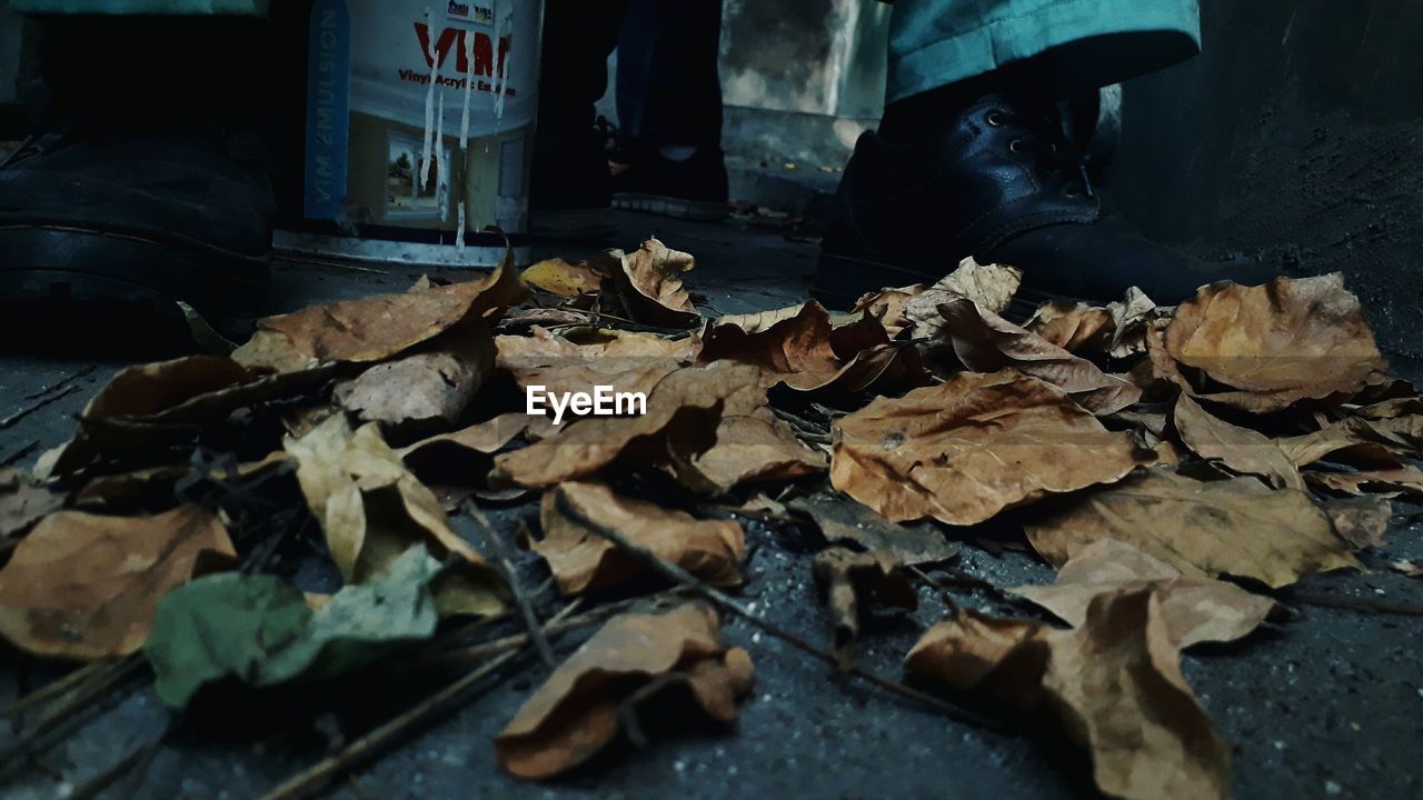 LOW SECTION OF MAN WITH AUTUMN LEAVES IN PARK