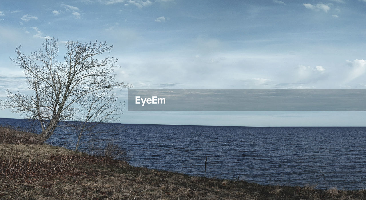 CLOSE-UP OF SHORE AGAINST SKY