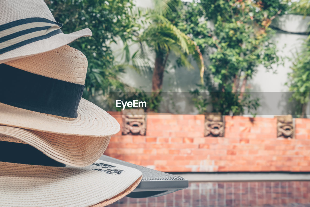 rear view of man wearing hat standing against trees