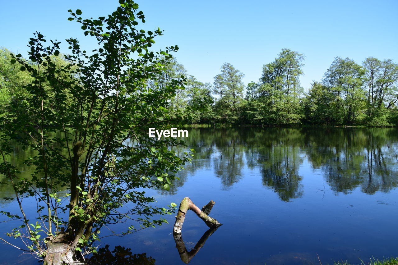 SCENIC VIEW OF LAKE AGAINST BLUE SKY