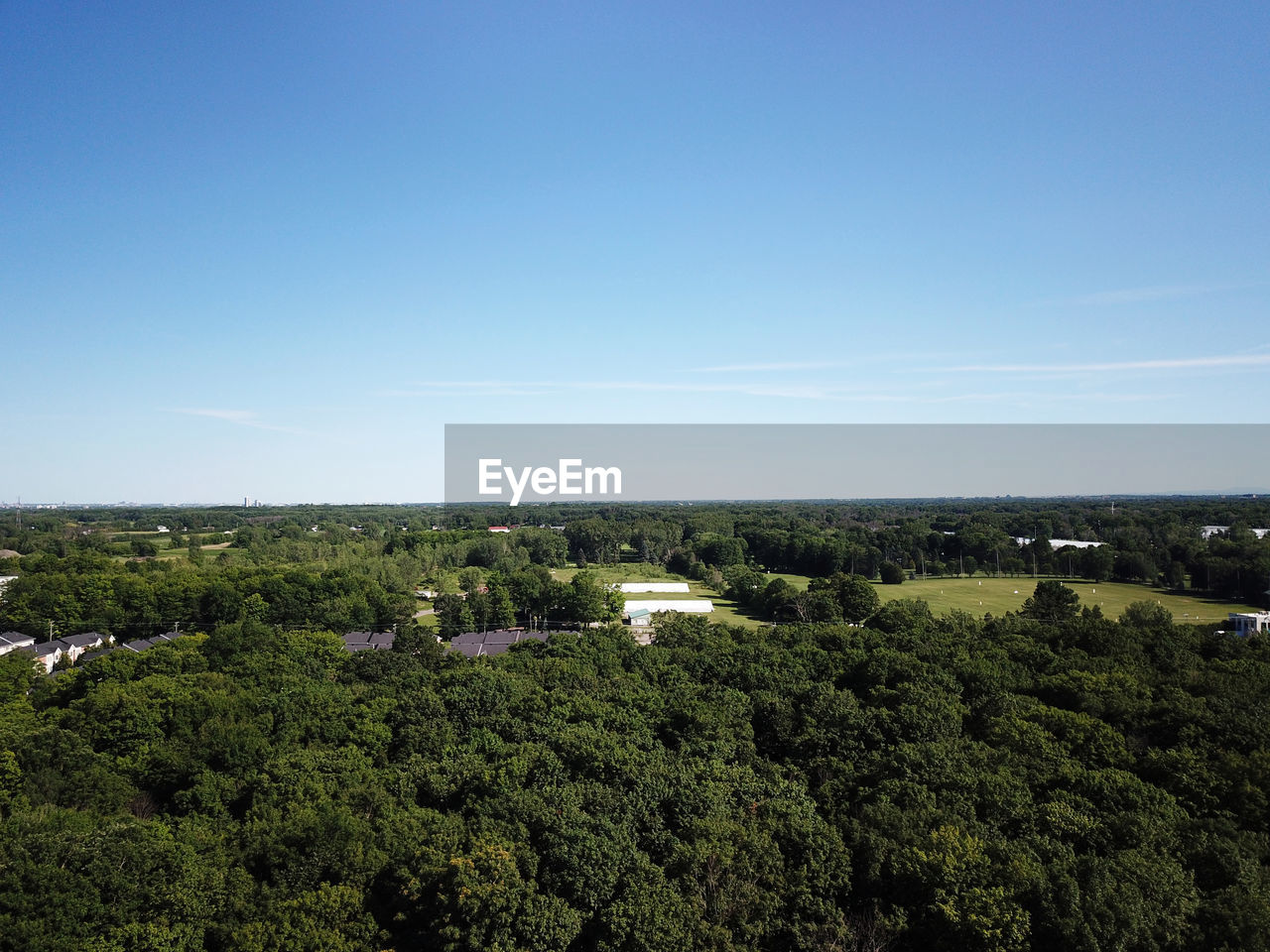 TREES ON LANDSCAPE AGAINST CLEAR SKY