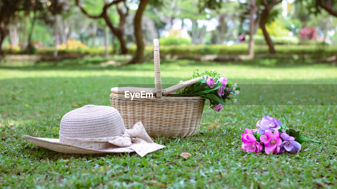 plant, picnic basket, basket, grass, lawn, nature, flower, flowering plant, hat, wicker, day, beauty in nature, no people, backyard, container, growth, summer, green, fashion accessory, outdoors, picnic, freshness, tree, straw hat, garden, field, tranquility, land, focus on foreground, springtime, sun hat, clothing, selective focus, plain