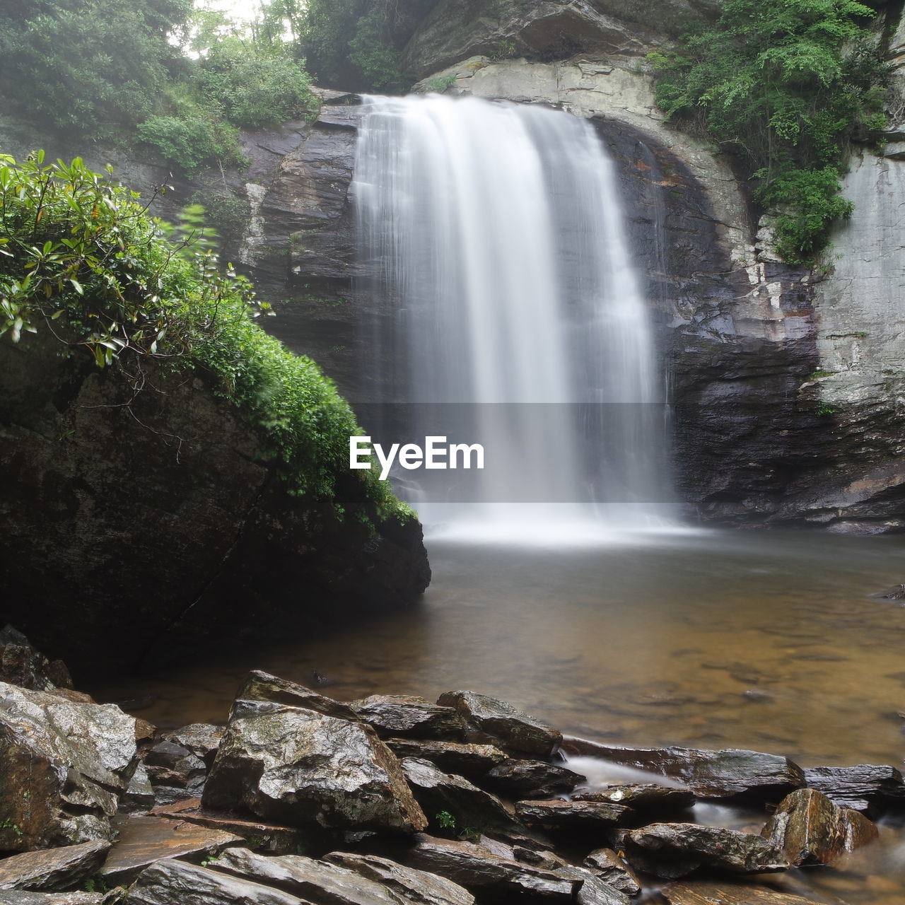 WATERFALL IN FOREST