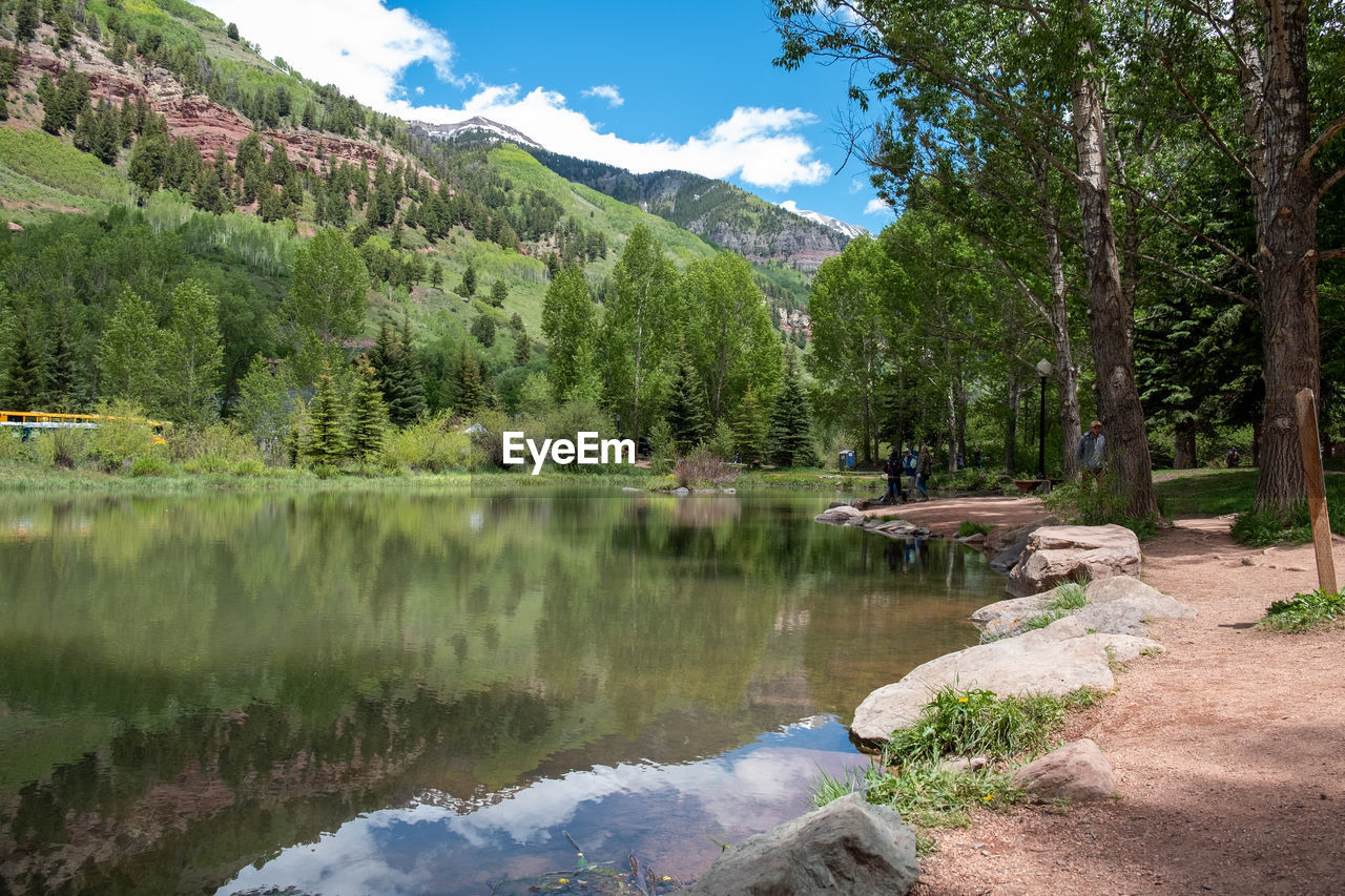 Scenic view of lake by trees against sky