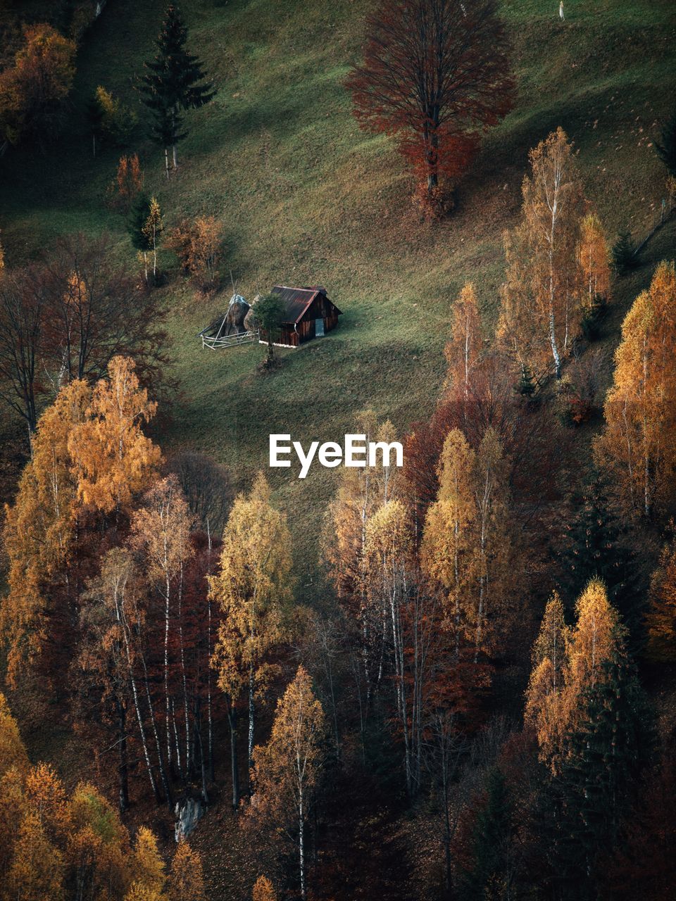 Rural autumn landscape in the carpathian mountains,romania,transylvania,romania.