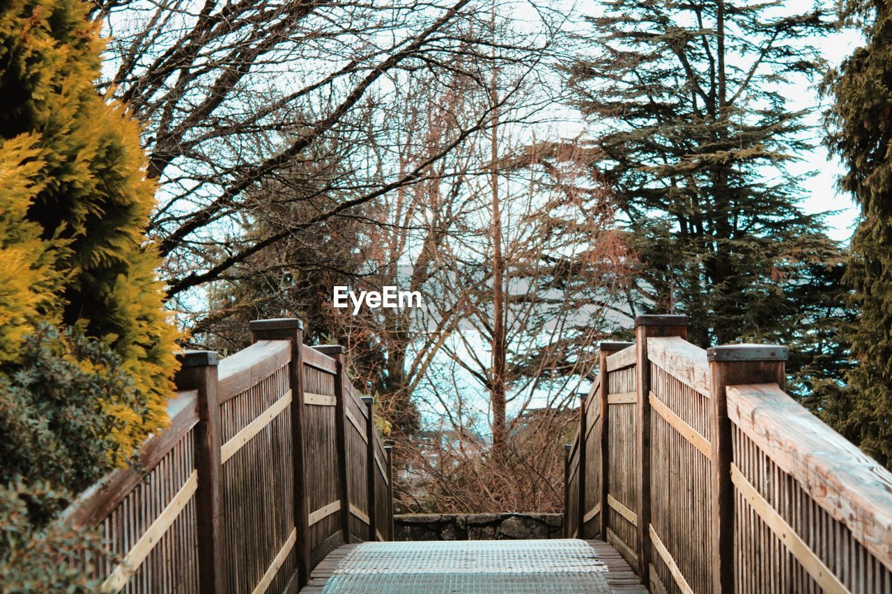 LOW ANGLE VIEW OF BARE TREES BY BUILDING