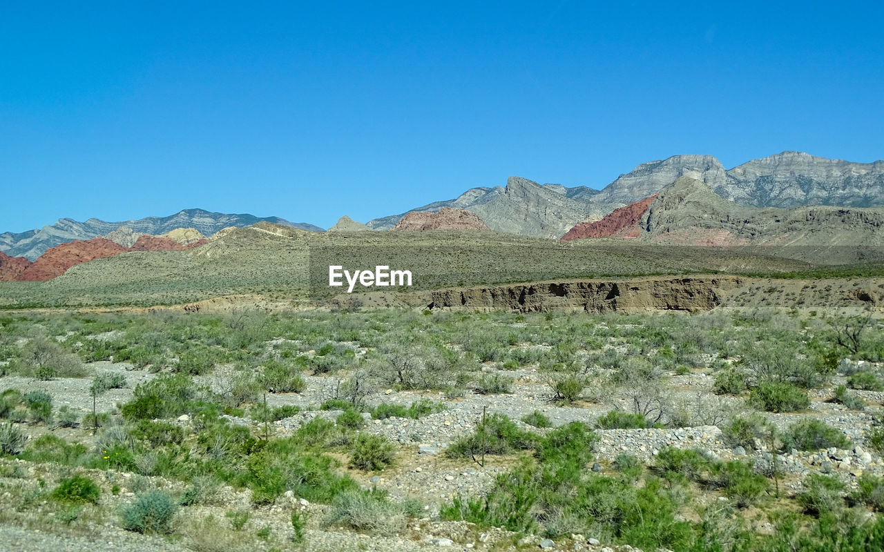 Scenic view of desert against clear blue sky