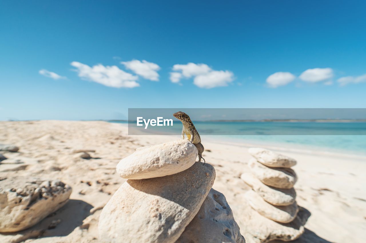 Rocks on beach against sky 