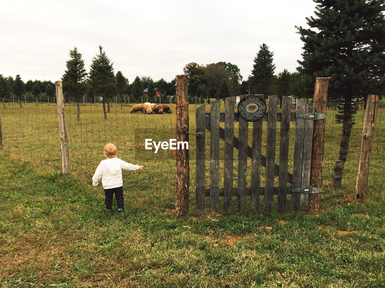 Rear view of girl standing at ranch