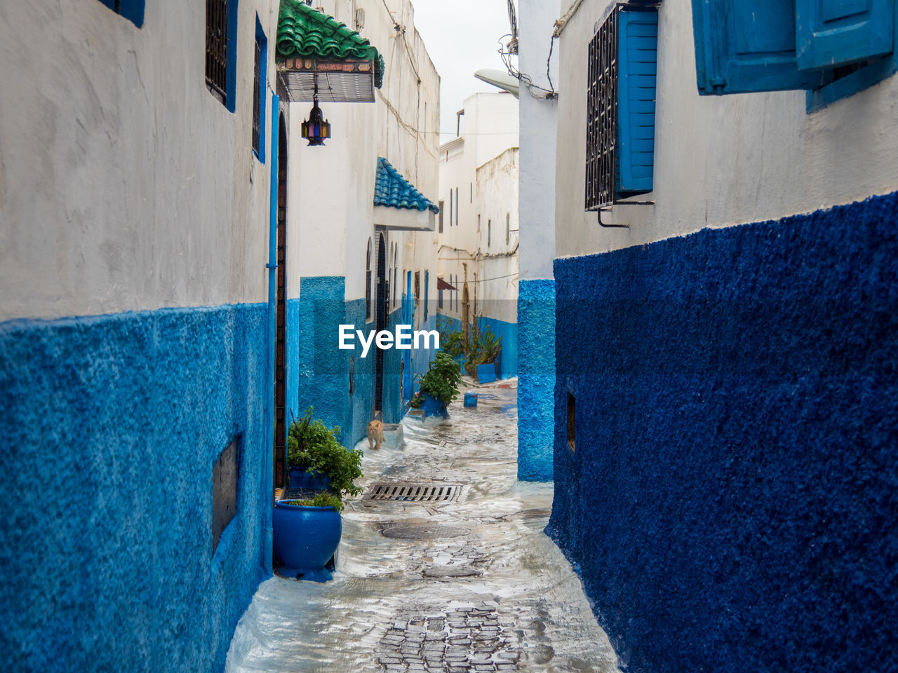 Narrow alley amidst buildings in town