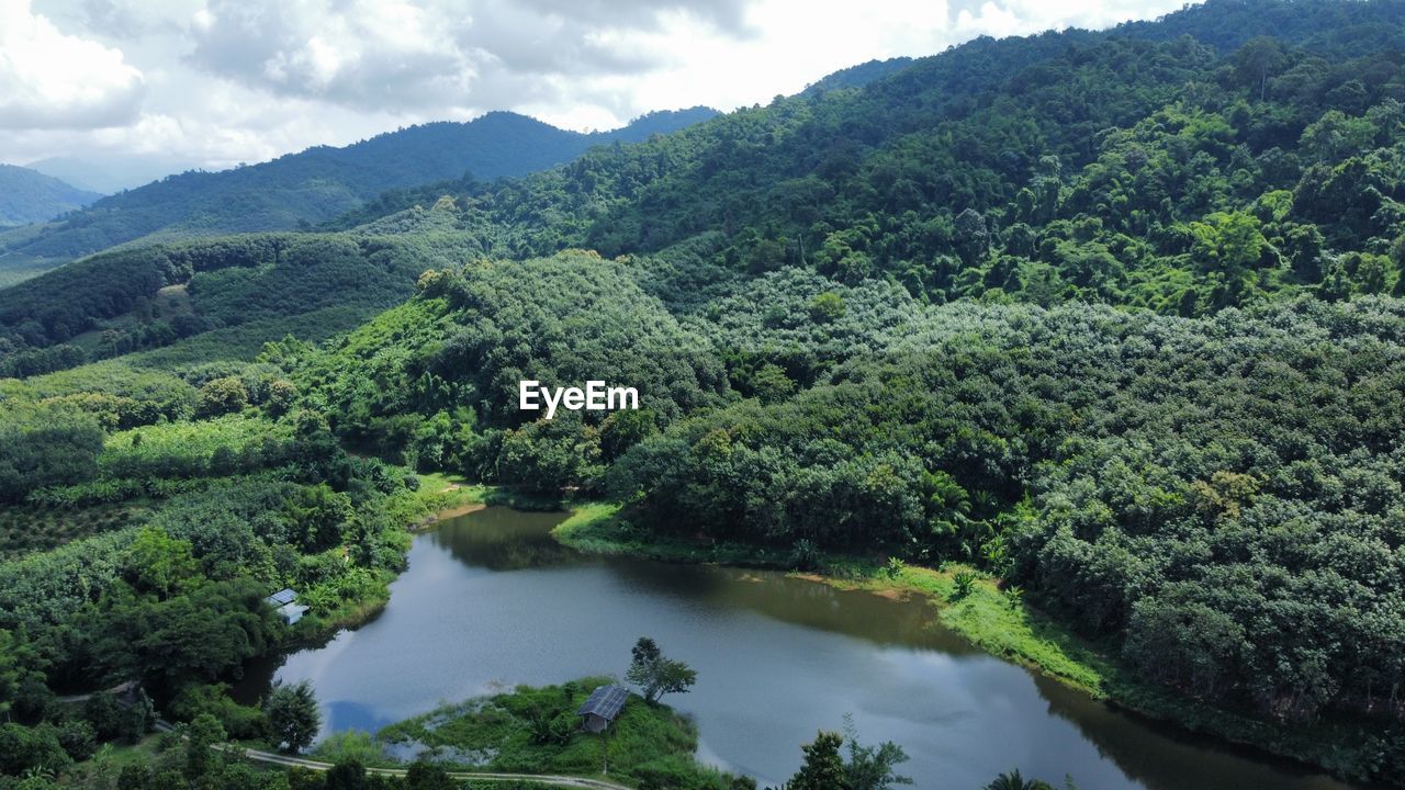 tree, plant, water, environment, scenics - nature, landscape, nature, beauty in nature, land, forest, mountain, river, tranquility, sky, cloud, green, no people, lush foliage, foliage, growth, reservoir, tranquil scene, outdoors, vegetation, rainforest, social issues, valley, rural scene, non-urban scene, travel destinations, travel, tree area, day, tropical climate, tourism, environmental conservation, mountain range, hill station, jungle, high angle view, reflection, food and drink, tropical tree, aerial photography, summer, highland, field, idyllic, woodland