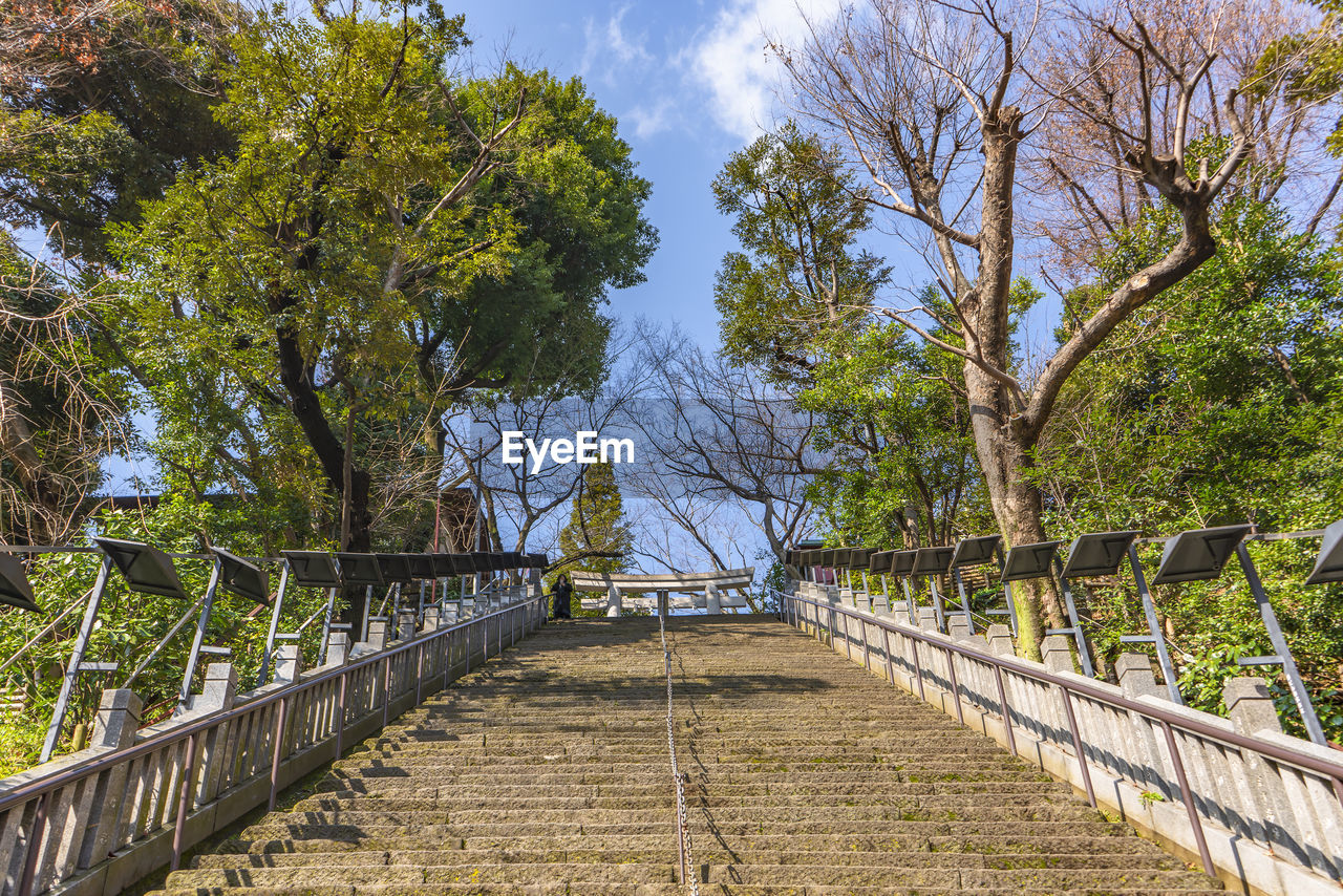 FOOTBRIDGE ALONG TREES AND PLANTS