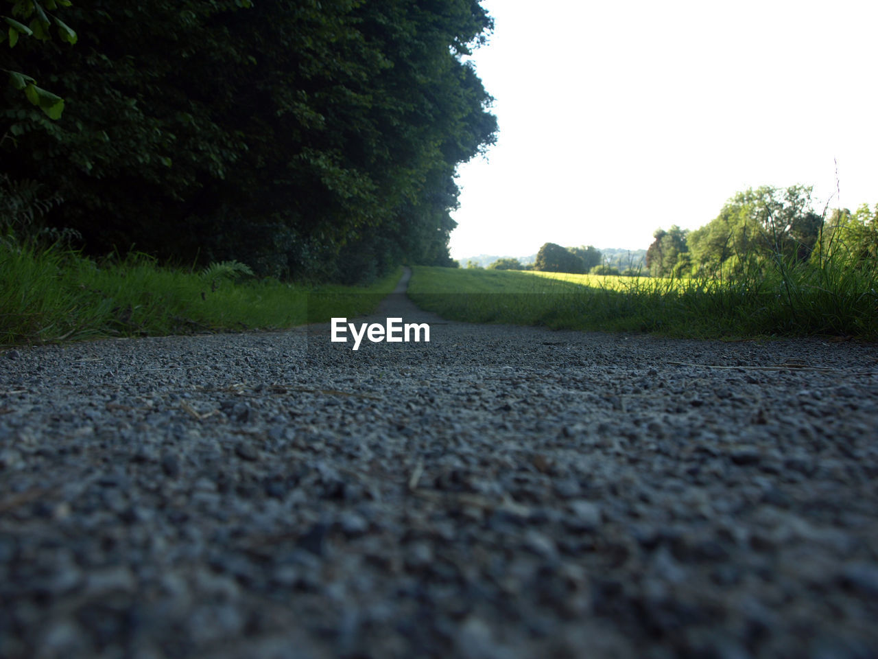 Scenic view of field against clear sky
