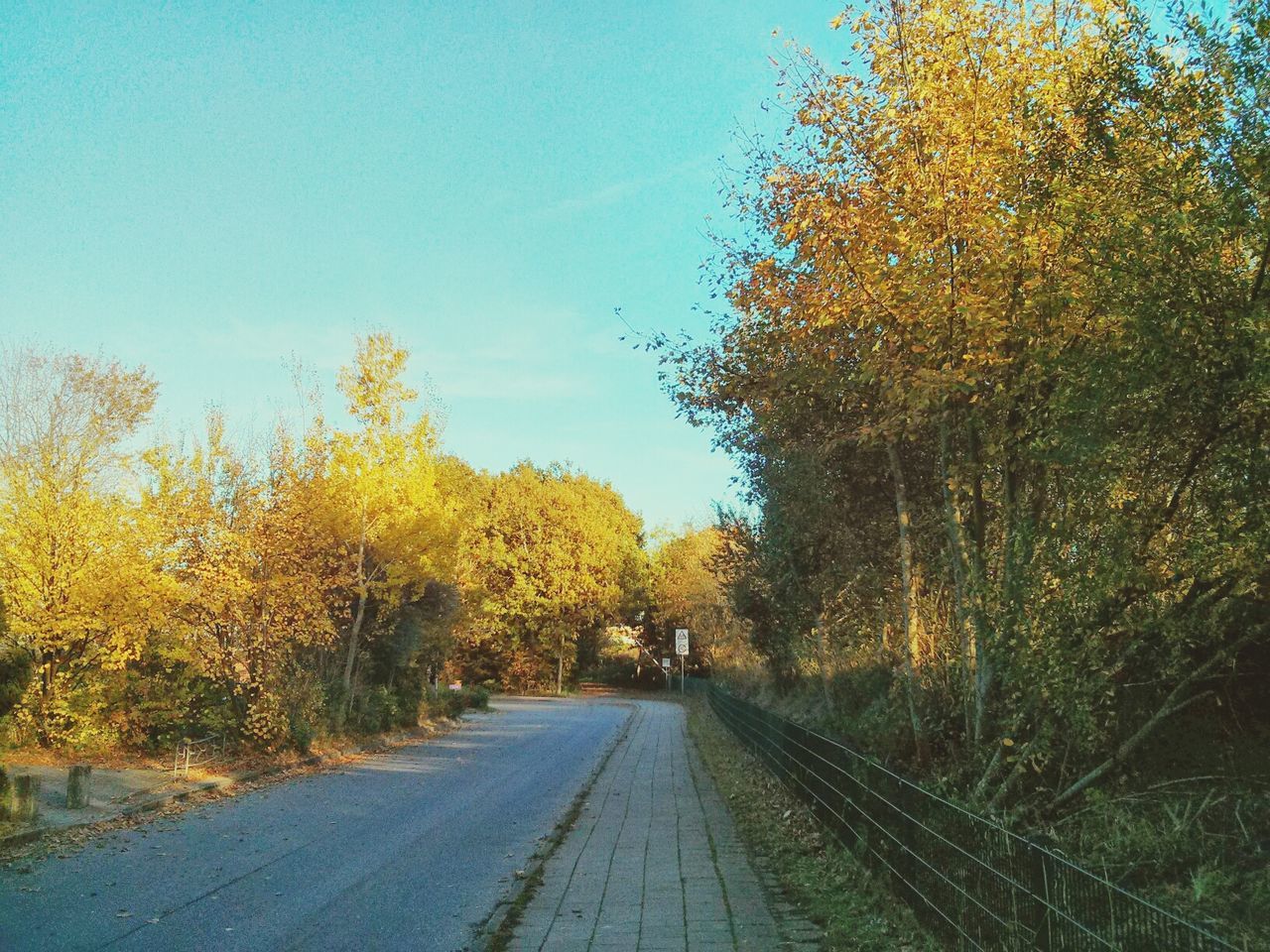 Empty country road along trees and sky