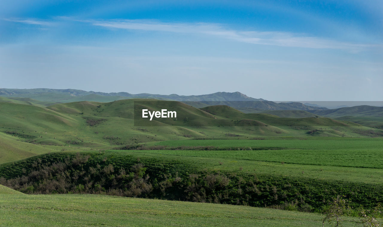 SCENIC VIEW OF AGRICULTURAL LANDSCAPE AGAINST SKY