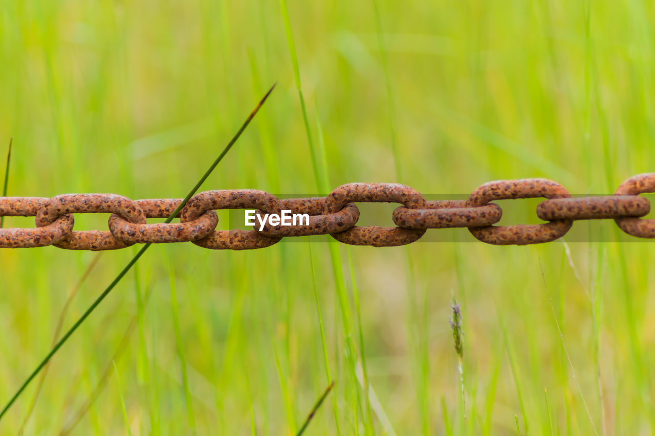 Close-up of rusty chain on grass field
