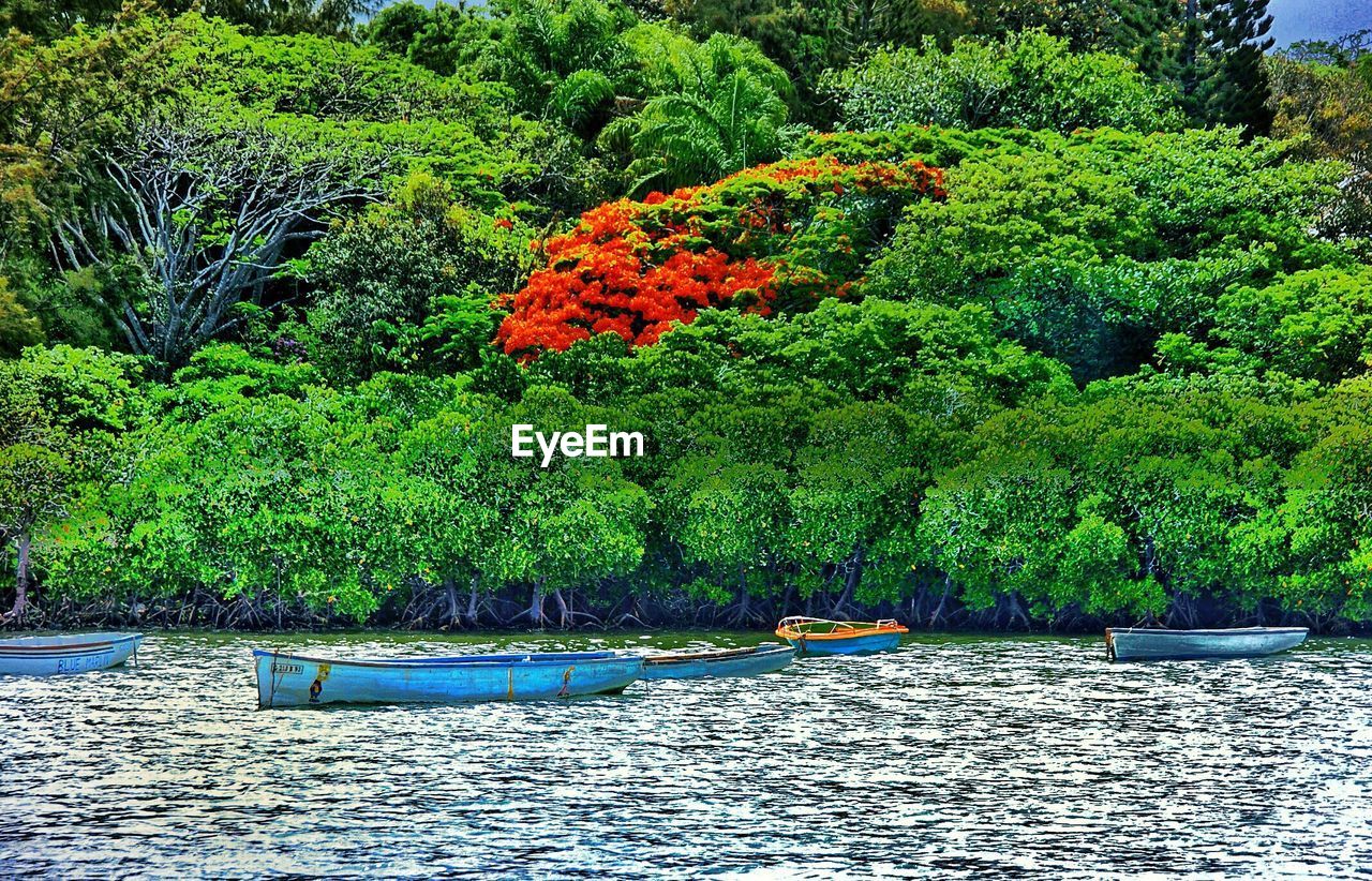 SCENIC VIEW OF RIVER WITH TREES IN BACKGROUND