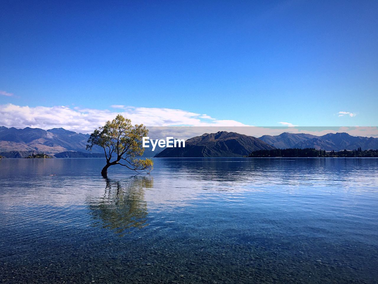 Scenic view of lake against blue sky