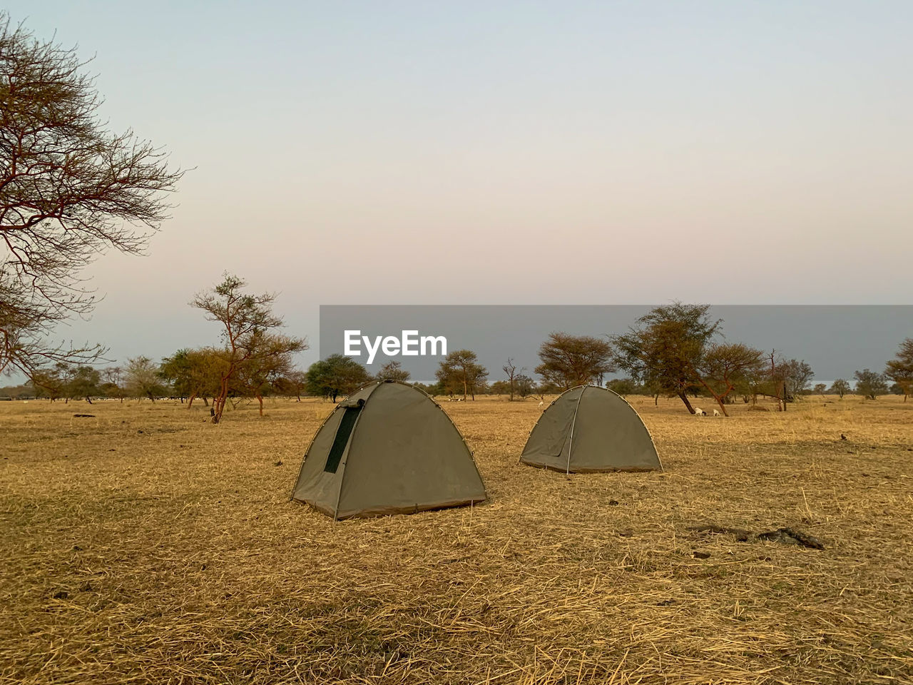 VIEW OF TENT ON FIELD AGAINST CLEAR SKY