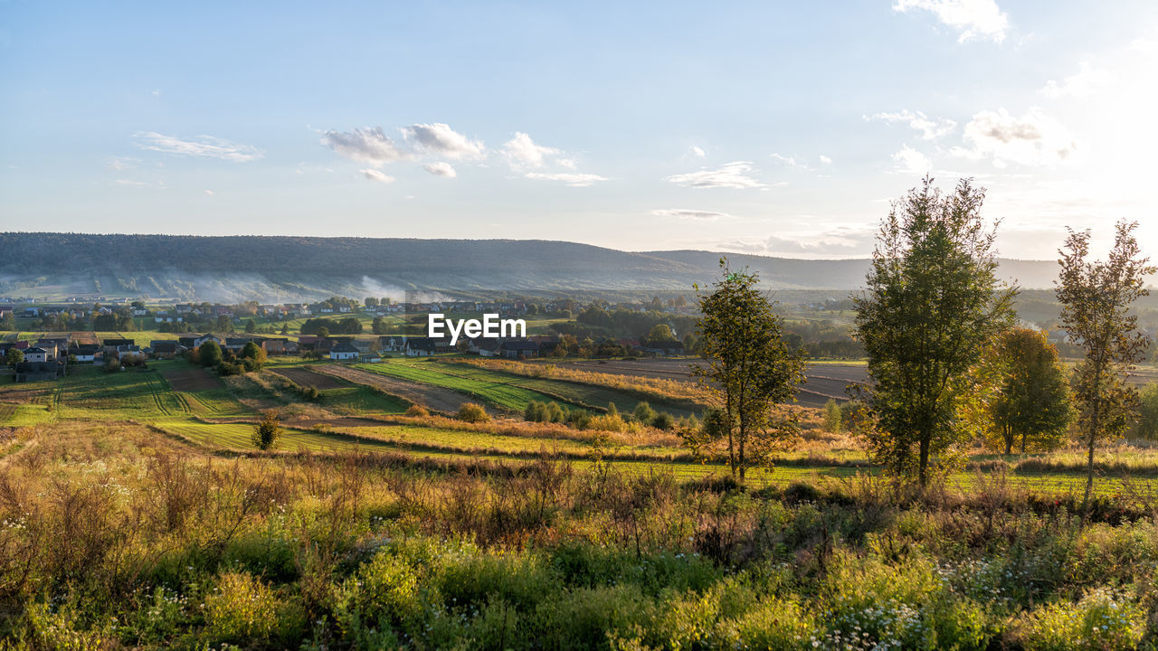 SCENIC VIEW OF FARM AGAINST SKY