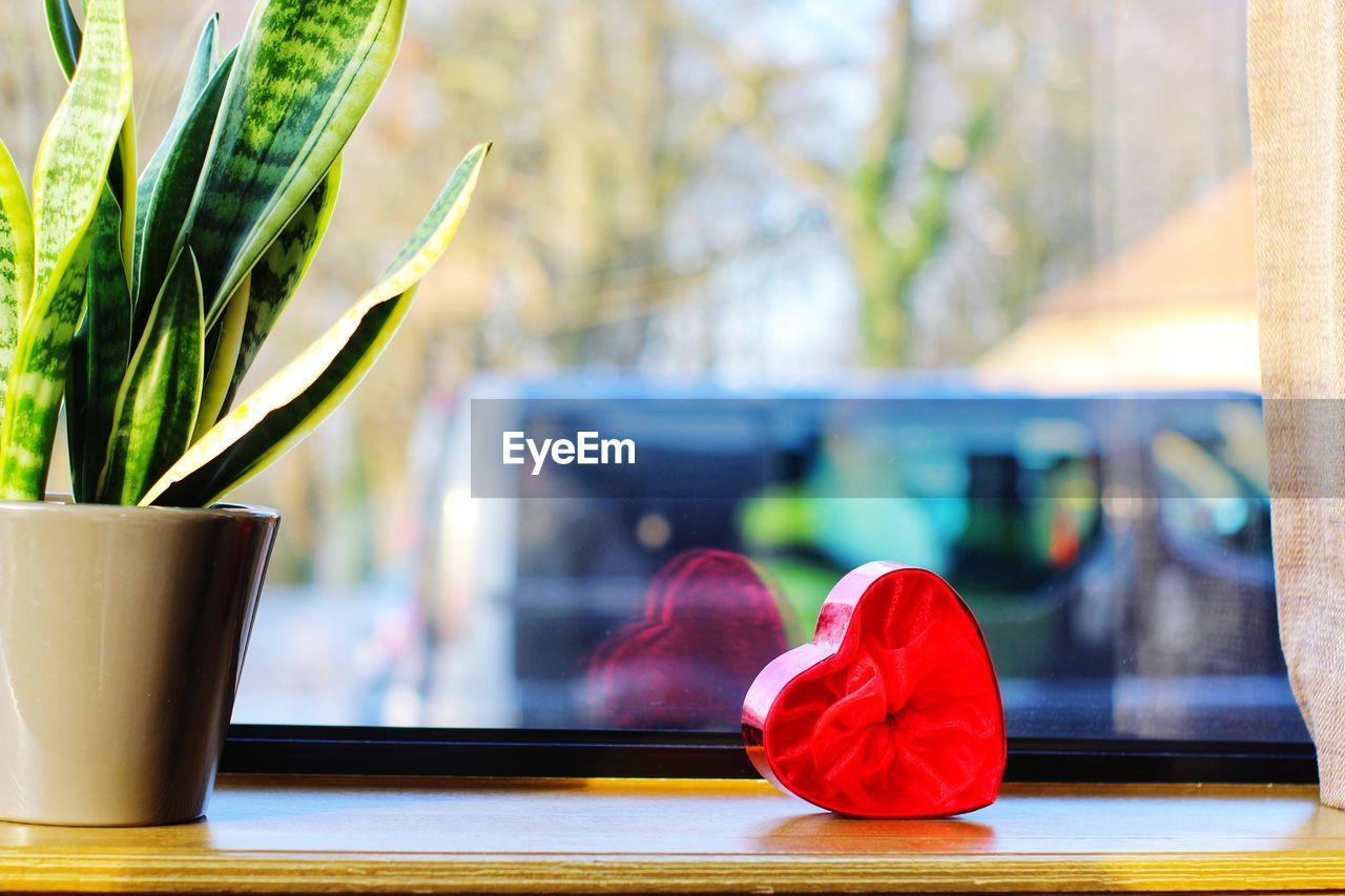 CLOSE-UP OF RED VASE ON WINDOW SILL