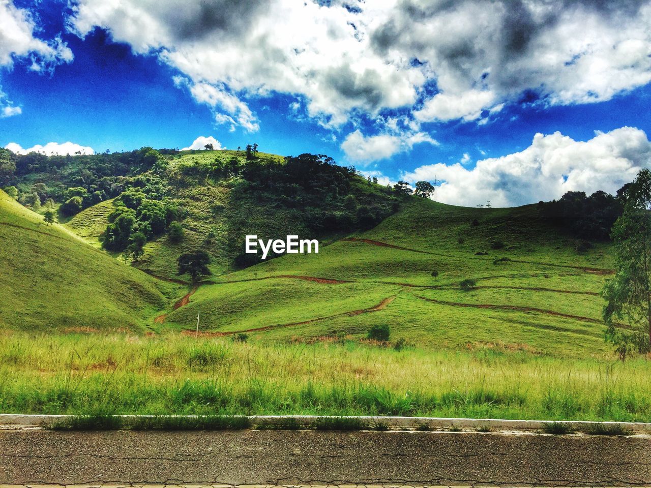 SCENIC VIEW OF FARM AGAINST SKY