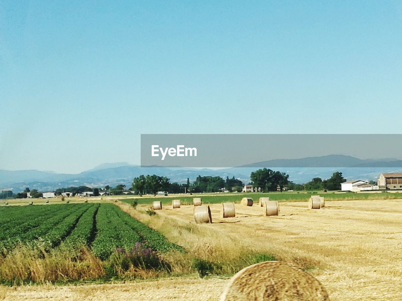 SCENIC VIEW OF RURAL LANDSCAPE