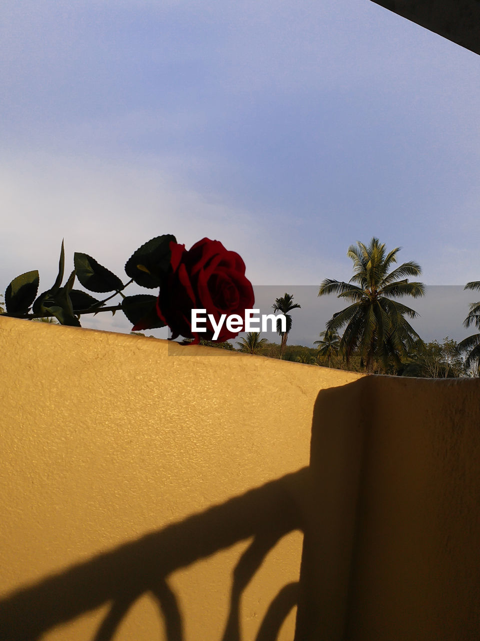 LOW ANGLE VIEW OF PEOPLE ON WALL WITH RED FLOWER AGAINST SKY