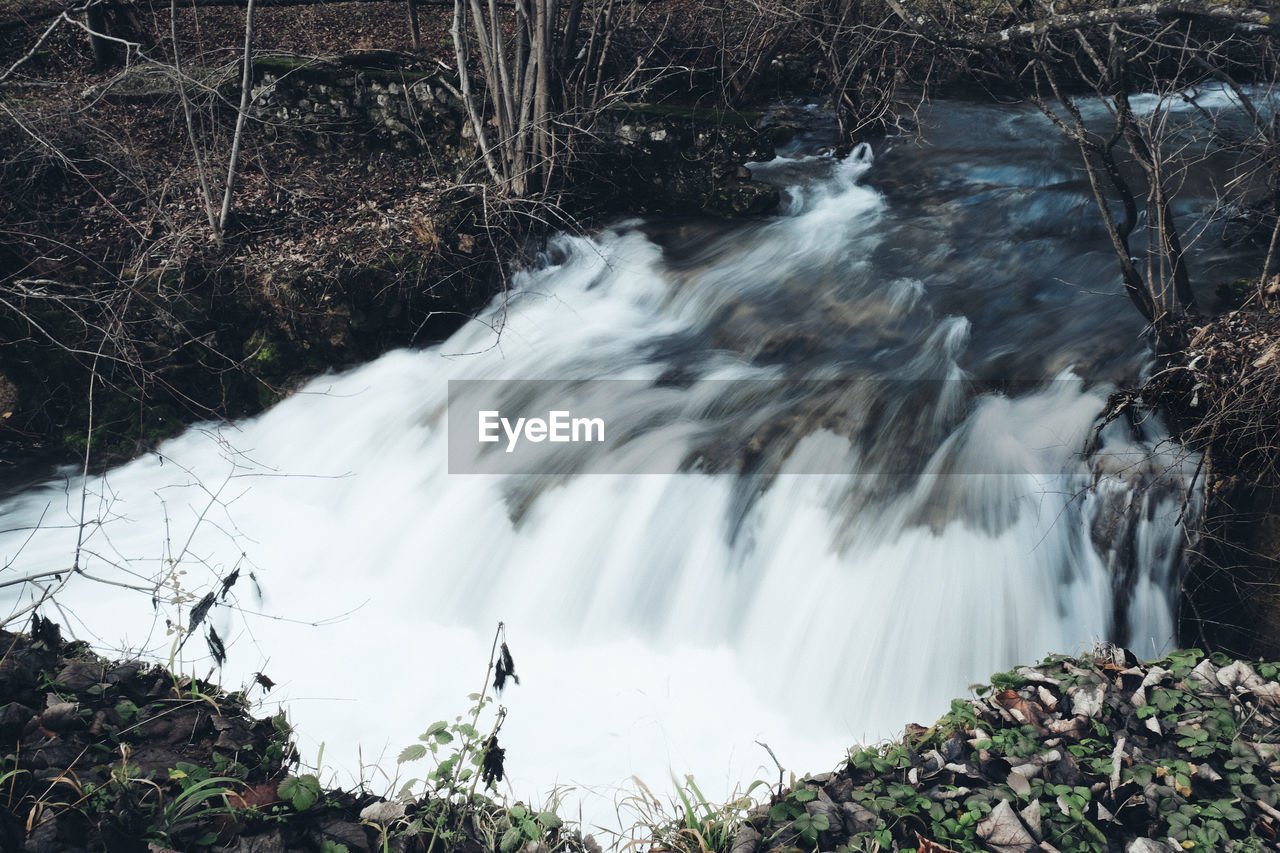 WATERFALL IN FOREST