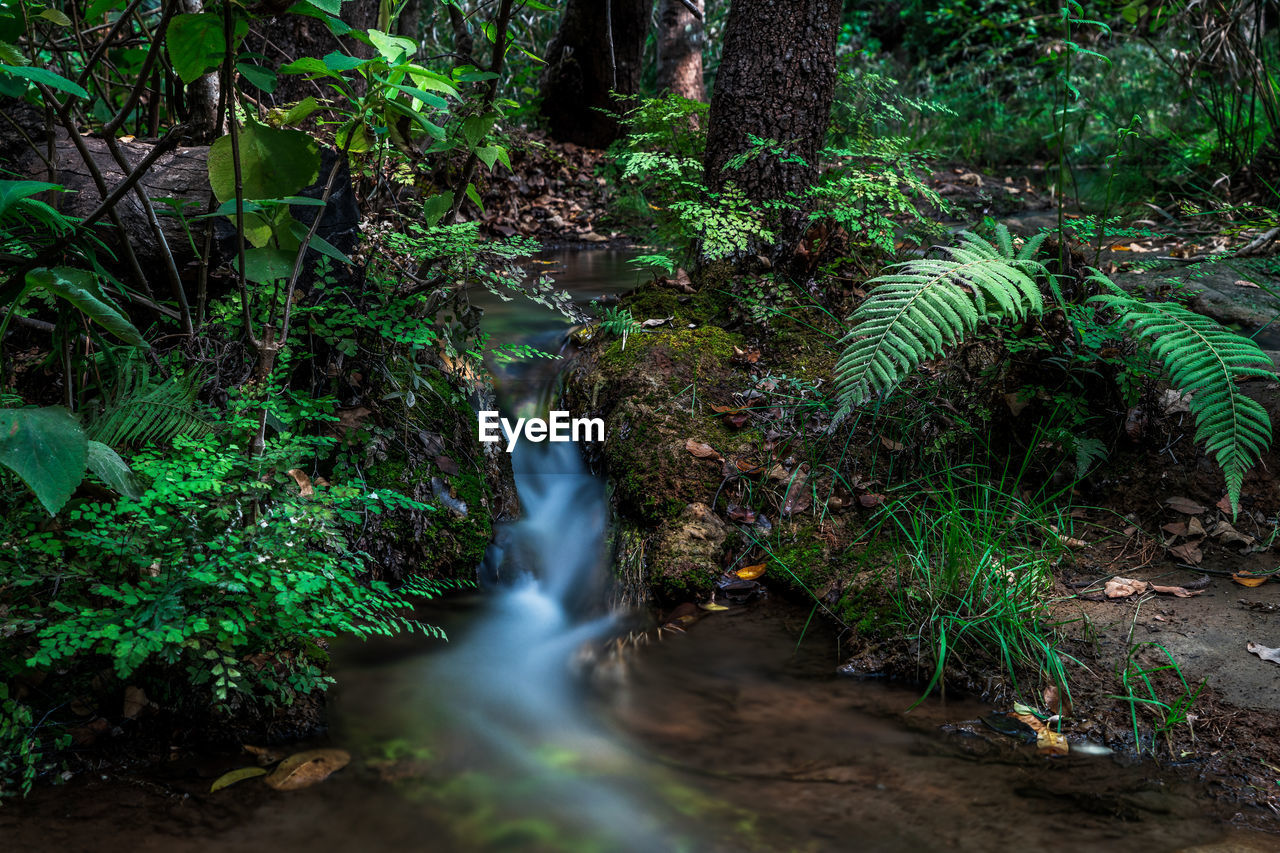 SCENIC VIEW OF WATERFALL